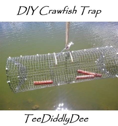 I had my best 2 day 4 trap catch ever. DIY Crawfish Trap - TeeDiddlyDee