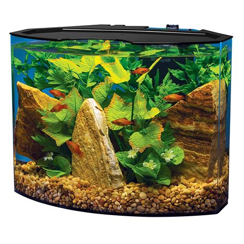 The Best Tank For Betta Fish Top 5 List Stories Of Water