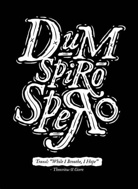 Dum Spiro Spero 83 Drops