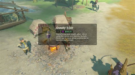 Put it in your brewing stand. Zelda Breath of the Wild guide: Everything you need to know about elixirs, critters and monster ...