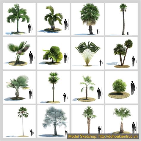 And like a few sites on this list, you can download free. 3D Model Tree Sketchup free download for Exterior
