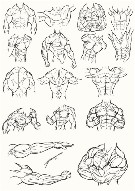 Back Muscles Drawing Reference Anime Mrfoobars Deviantart Favourites