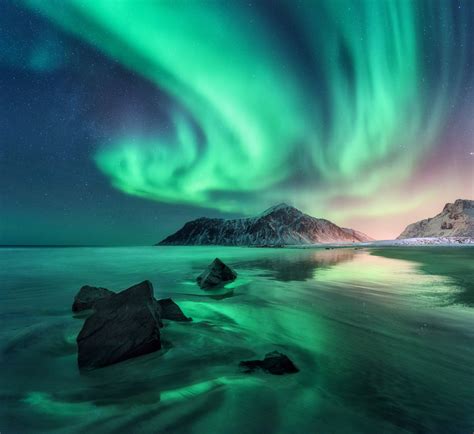 Aurora Northern Lights In Lofoten Islands Norway Sky