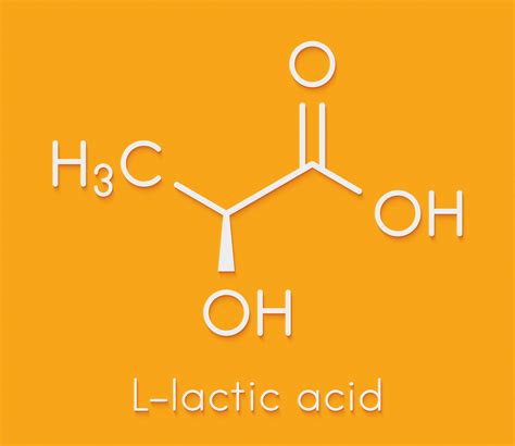 ácido Lático Nos Músculos