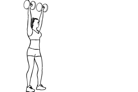 Overhead Dumbbell Squats Workoutlabs Exercise Guide