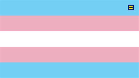 Transgender Pride Flag Wallpapers Wallpaper Cave F