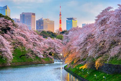 You get japan to your very core on this big tour. 17 Day Best Of Japan By Rail - Asia Train Tours | Webjet ...