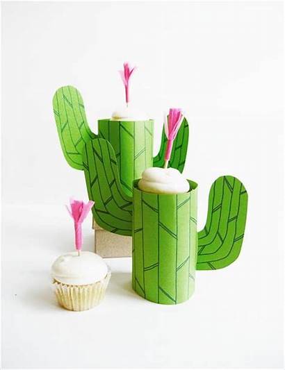 Cactus Craft Diy Mini Cacti Cupcake Succulent