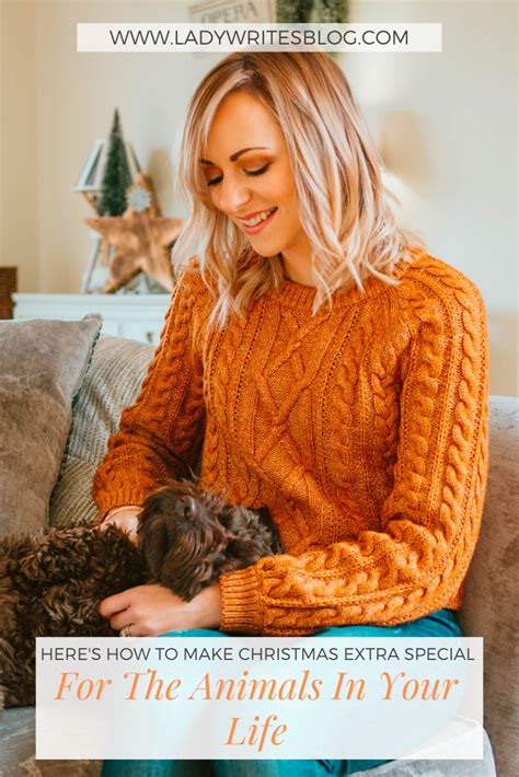 This relationship between hartville pet insurance and aspca began in 2006, and hartville says that the aspca insurance was made to be consistent with the aspca's beliefs and motives in pet care. Petplan Pet Insurance Phone Number - Wayang Pets