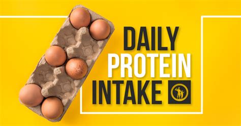 Daily Protein Intake For Men The Fit Father Project