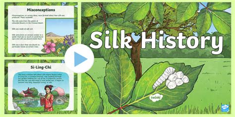 History Of Silk Information Powerpoint Twinkl