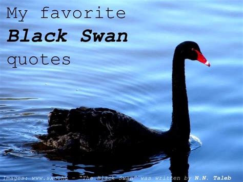 My Favorite Black Swan Quotes Swan Quotes Swan Black Swan