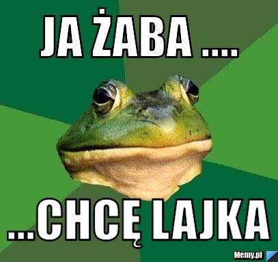 Ja żaba Chcę lajka Memy pl