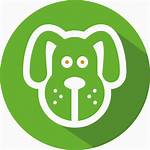 Animal Dog Icon Feeds Icons Animals Data