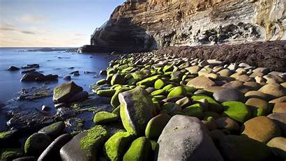 Sea Stone Beach Rocks Cliff Moss Nature