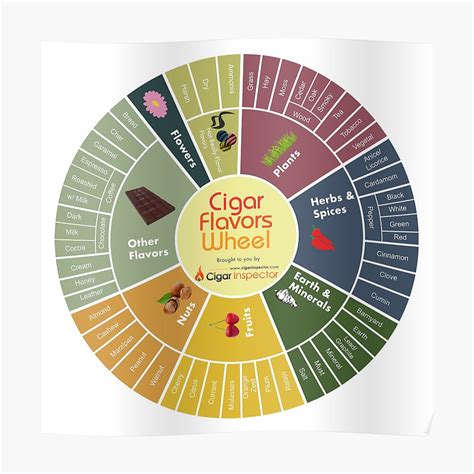 Cigar Flavors Wheel Poster Poster By Cigarinspector Redbubble