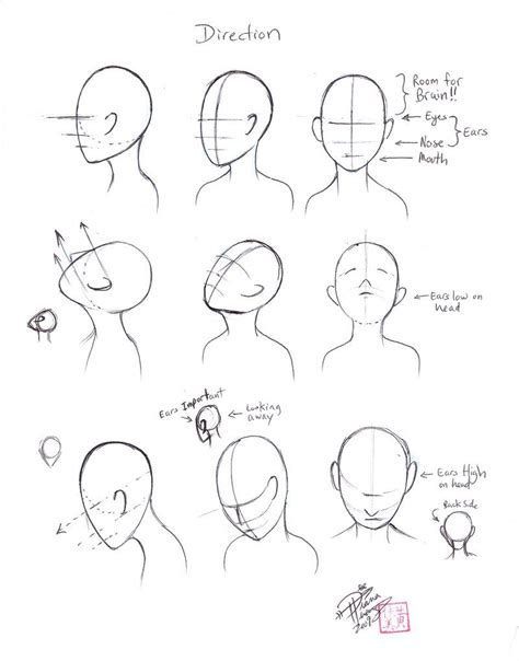 Draw Faces Direction By Diana Huang On Deviantart Drawing Heads