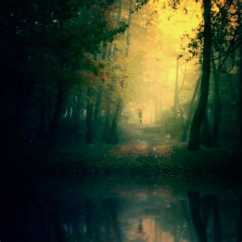 Magical Forest Iii By Baxiaart On Deviantart