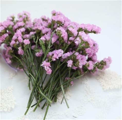 《 flowwow 》 best local flower shops near me in ! Wholesale-natural-dried-flower-purple-Forget-Me-Not ...