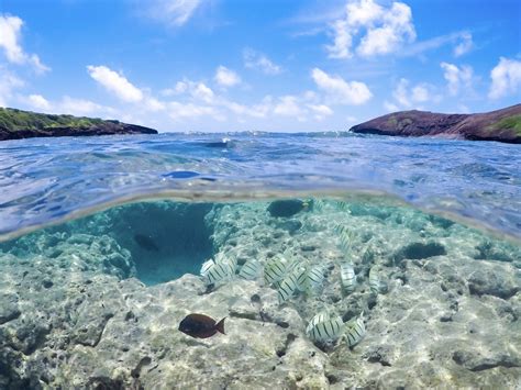 Snorkeling At Hanauma Bay Nature Preserve Travel Aloha Hawaii