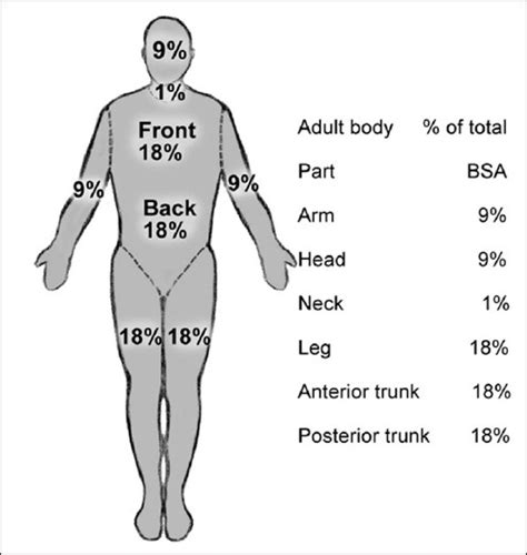 Burn Body Percentage Chart