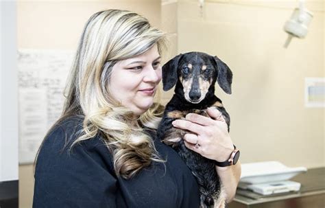 Our society was formed on 13th july 2012 to address the urgent issue of the healthcare needs of older population in our mission. Geriatric Care for Pets in Greensboro | Geriatric Care for ...