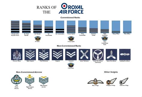Large A3 Ranks Of The Royal Air Force Raf Poster Rank Structure New British Ebay