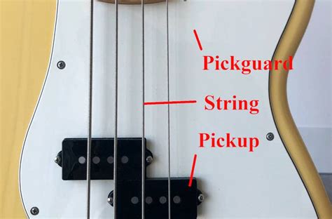 Parts Of A Bass Guitar With Pictures And Infographic Bassox