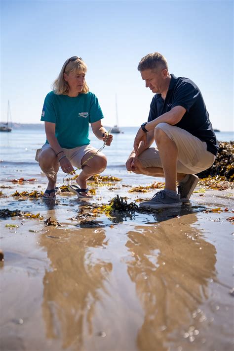 Life Recreation Remedies Receives Boost From Valeport Save Our Seabed