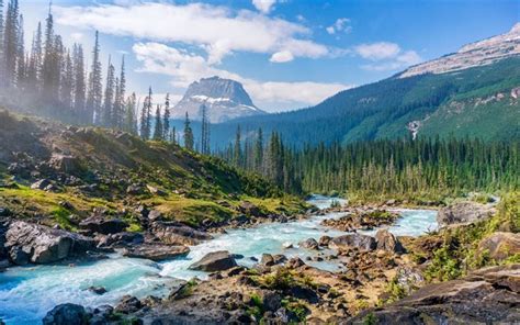 Download Wallpapers 4k Yoho National Park River Mountains Forest