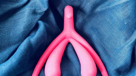 Le clitoris maître organe du plaisir sexuel féminin