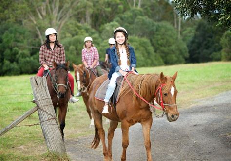 Horse Riding In Sydney Horseback Riding And Trail Riding