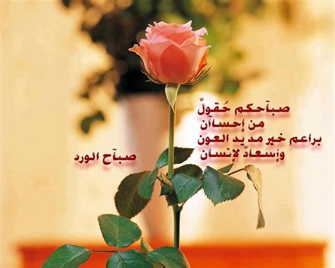 مسجات ادعية صباحية رسائل دعاء مسجات صباحية جديدة. صور صباحية جميلة , صبح على اهلك واصحابك باجمل الصور - عبارات