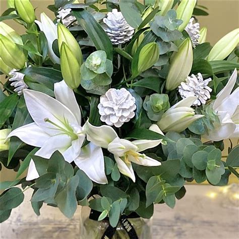 Lilies Of Winter