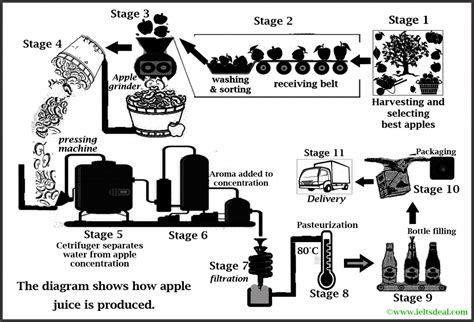 Ielts Academic Writing Task 1 Process Diagram On Apple Juice