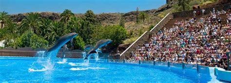 Maspalomas Holiday Resort In Gran Canaria With Top Attractions