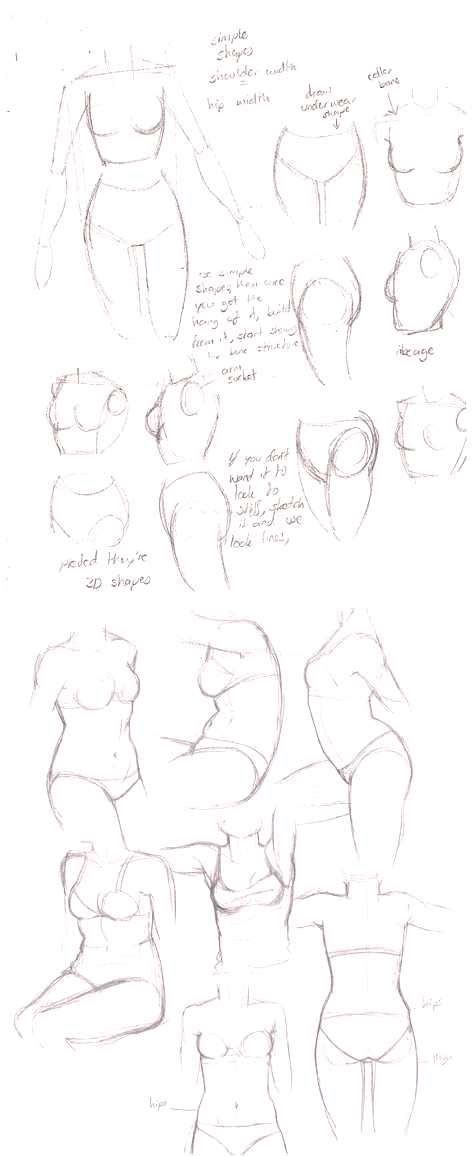 Finalize the seventh stage of the instruction on how to draw an anime body by erasing all unnecessary guidelines from the upper body. Pin on Anatomy