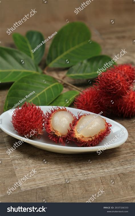 Top Take Tropical Fruit Chinese Mamon Stock Photo 2037326333 Shutterstock