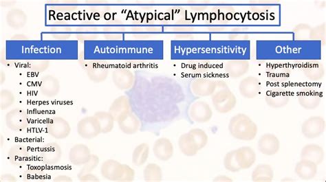Reactive Or Atypical Lymphocytosis Infection Grepmed