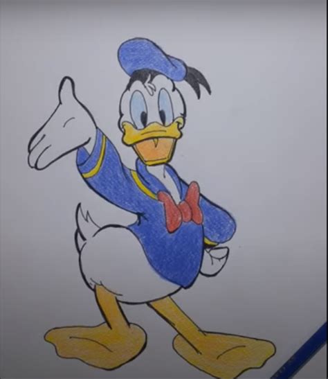 Learn How To Draw Donald Duck In Easiest Way You Can Easily Draw A Complete Full Body