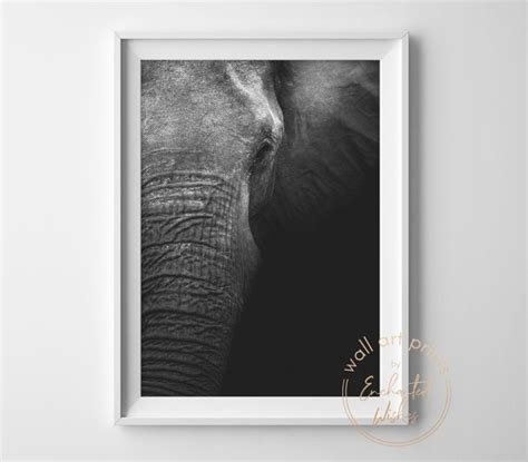 Elephant In The Dark Photo Print Wall Art
