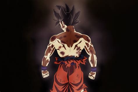 Legendary Super Saiyan Goku Ultra Instinct 3 Img Solo