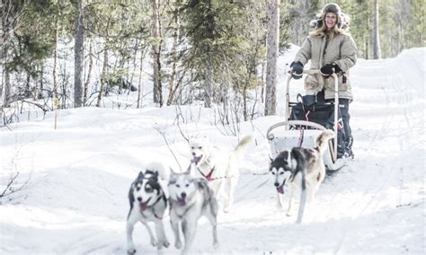 Icehotel And Husky Adventure Holidays 20242025 Best Served Scandinavia