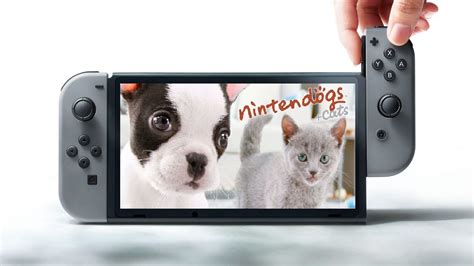 Nintendogs For The Switch Youtube