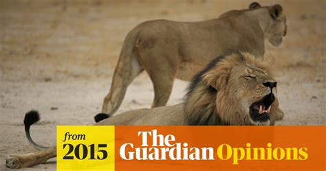 To Save Lions Like Cecil Let Hunters Have Their Way Simon Jenkins