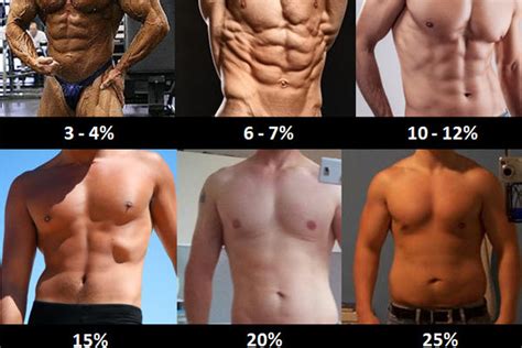 Different Body Fat Percentages Male Wasanalysis
