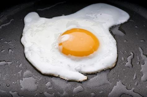 Protein berfungsi sebagai pembentuk jaringan dan juga memelihara kesehatan otot. Telur Rebus dan Telur Goreng, Mana Lebih Bernutrisi ...