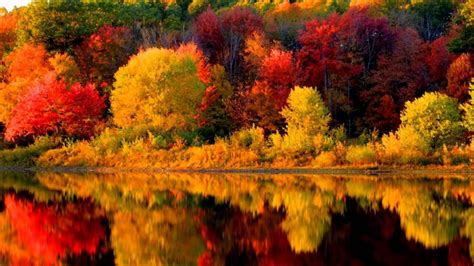 Beautiful Yellow Green Red Orange Fall Autumn Trees Reflection On Water
