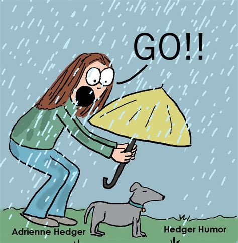 My Dog In The Rain Rain Humor Rain Cartoon Bad Weather Humor