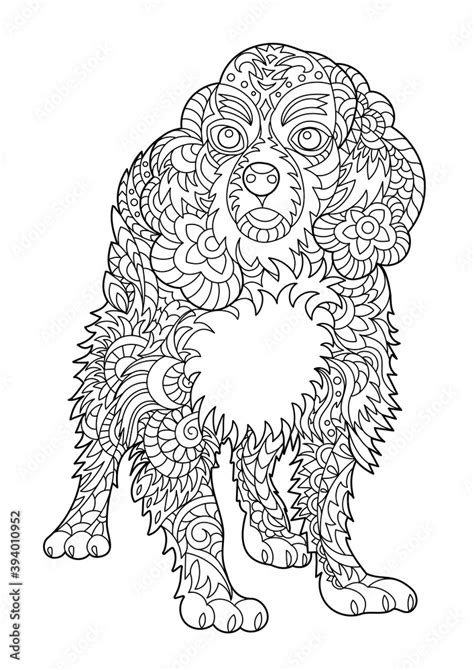 Cavalier King Charles Spaniel Coloring Page For Adult And Children